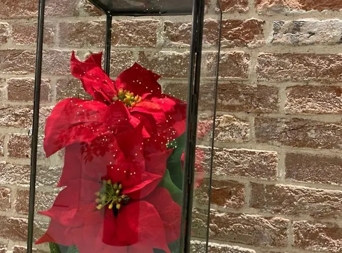 Al Pozzo Di Luce Venice